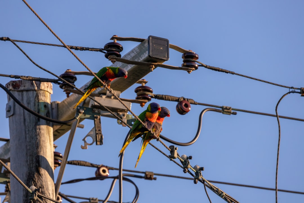 Common Electrical Issues In Older Homes In Services in Bloomington