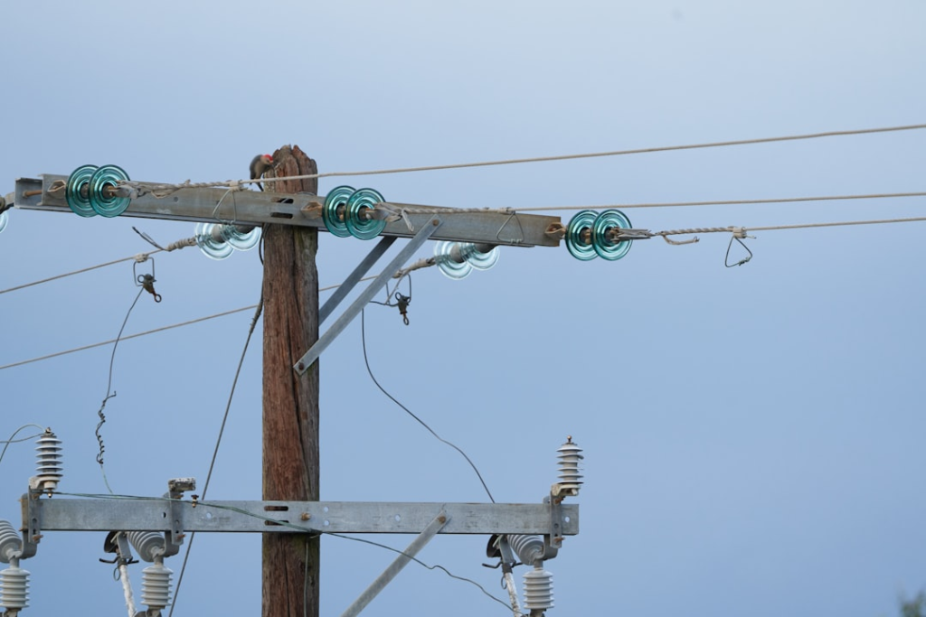 Common Electrical Issues In Older Homes In Services in Northfield