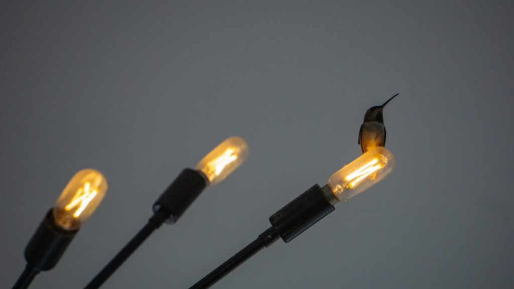 What To Do If Your Circuit Breaker Won’t Reset Services in Gibbsboro