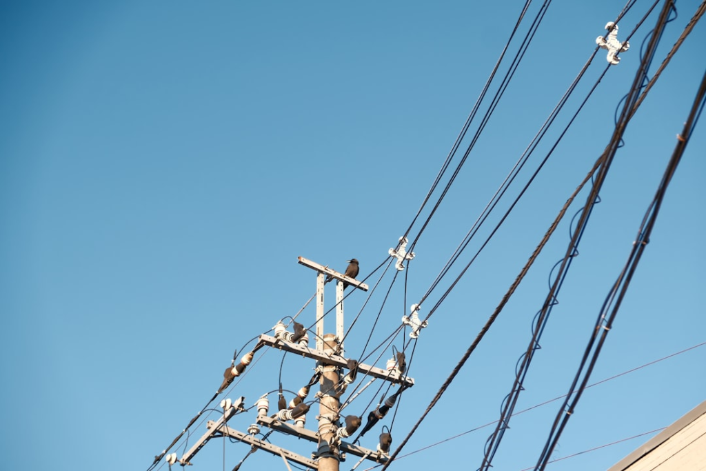 Common Electrical Issues In Older Homes In Services in Molino