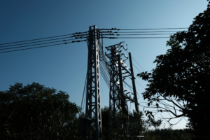 A stop sign in front of power lines and trees